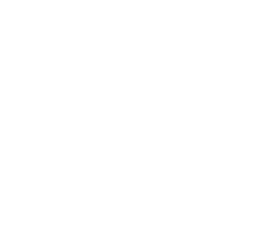 misch logo